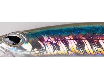 CRAFTY MINNOW 150F ANCHOVY