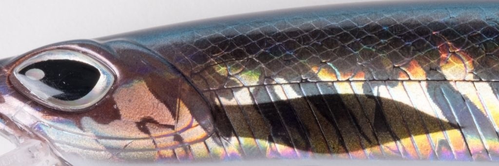 CRAFTY MINNOW 150F ANCHOVY