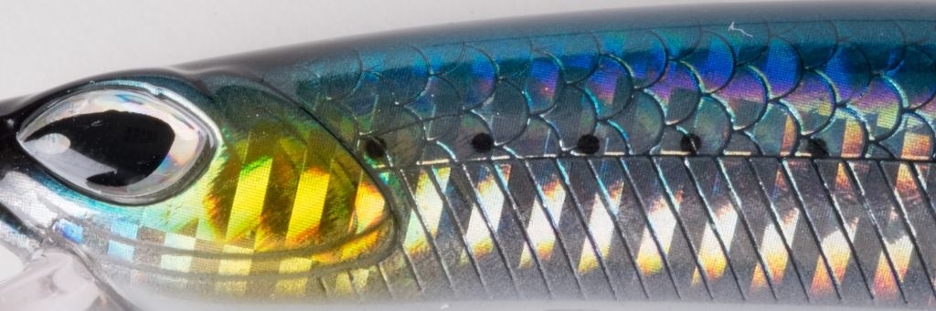 CRAFTY MINNOW 150F ANCHOVY