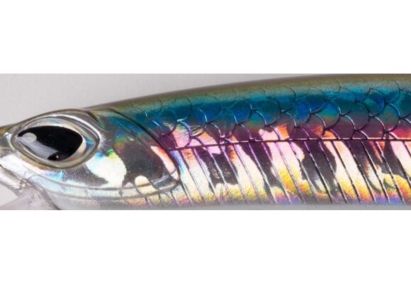 CRAFTY MINNOW 150F ANCHOVY