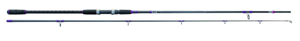 EXPLORER SEABASS 240 CM 15 > 45 GRAM