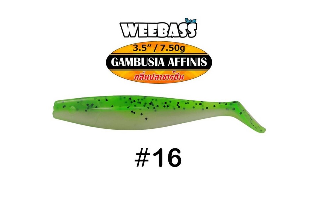 GAMBUSIA AFFINIS 7.5 GRAM 8.9 CM P/4