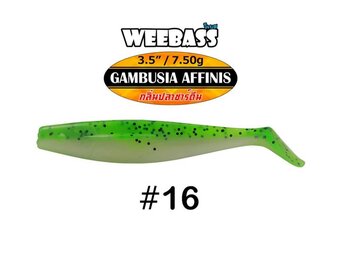 GAMBUSIA AFFINIS 7.5 GRAM 8.9 CM P/4