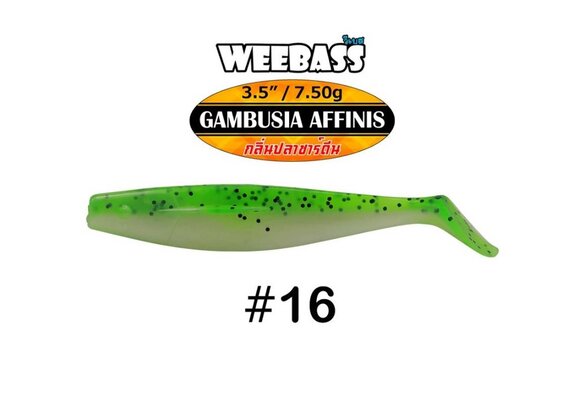 GAMBUSIA AFFINIS 7.5 GRAM 8.9 CM P/4
