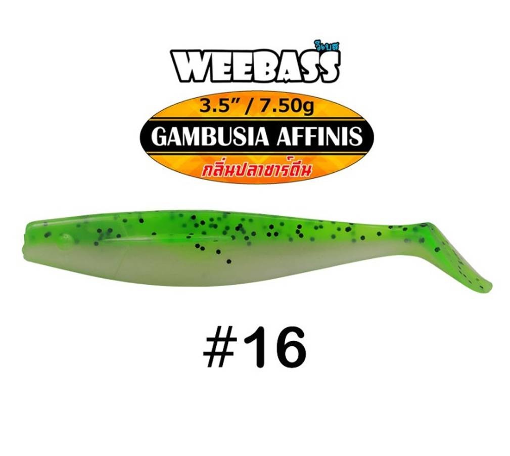 GAMBUSIA AFFINIS 7.5 GRAM 8.9 CM P/4