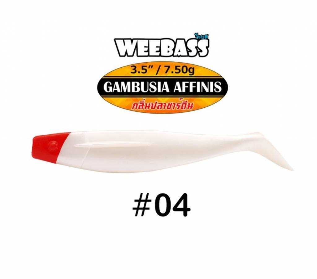 GAMBUSIA AFFINIS 7.5 GRAM 8.9 CM P/4