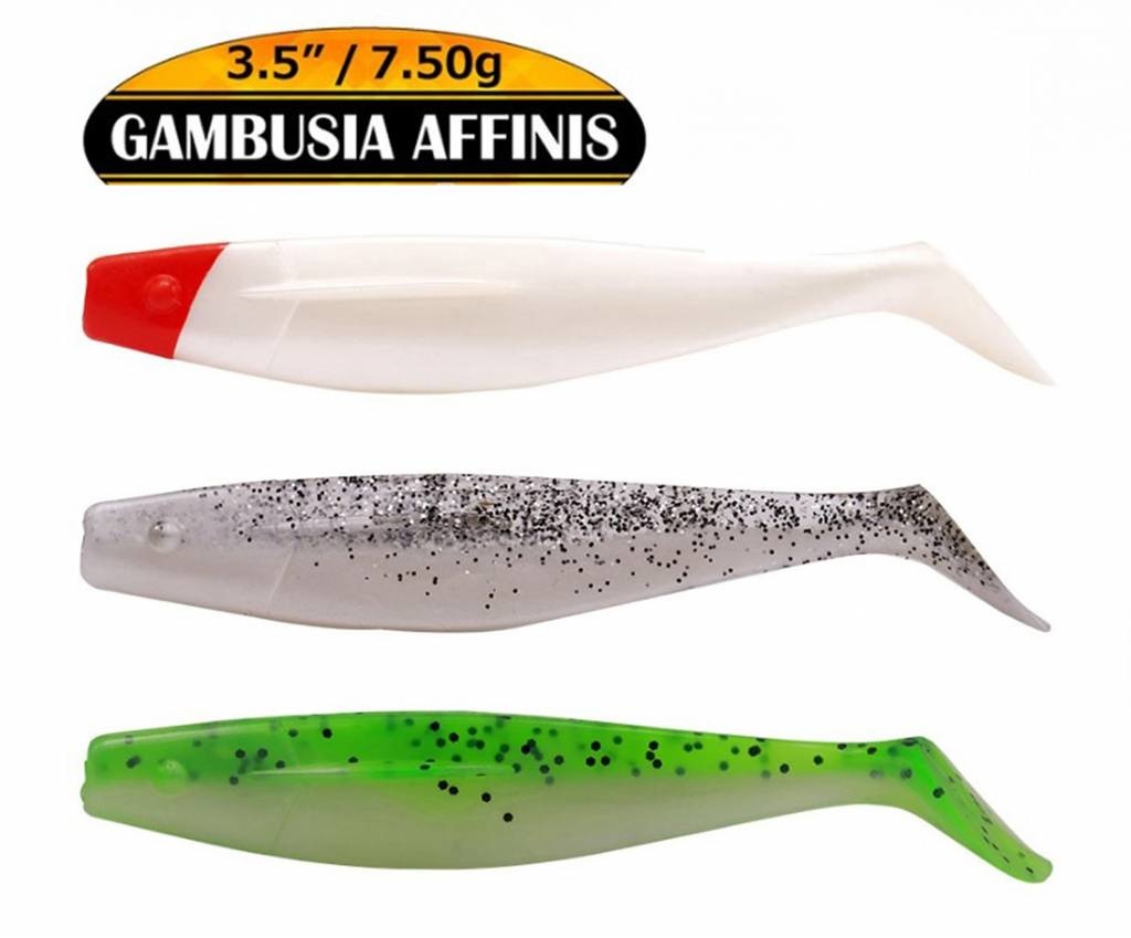 GAMBUSIA AFFINIS 7.5 GRAM 8.9 CM P/4