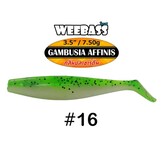 GAMBUSIA AFFINIS 7.5 GRAM 8.9 CM P/4