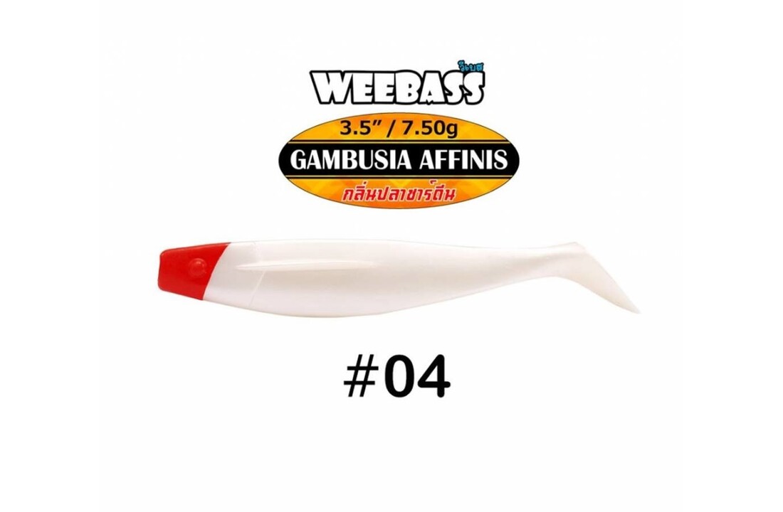 GAMBUSIA AFFINIS 7.5 GRAM 8.9 CM P/4