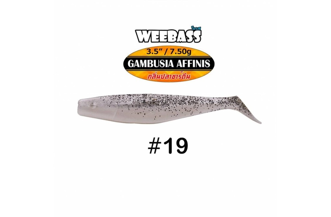 GAMBUSIA AFFINIS 7.5 GRAM 8.9 CM P/4