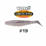 GAMBUSIA AFFINIS 7.5 GRAM 8.9 CM P/4