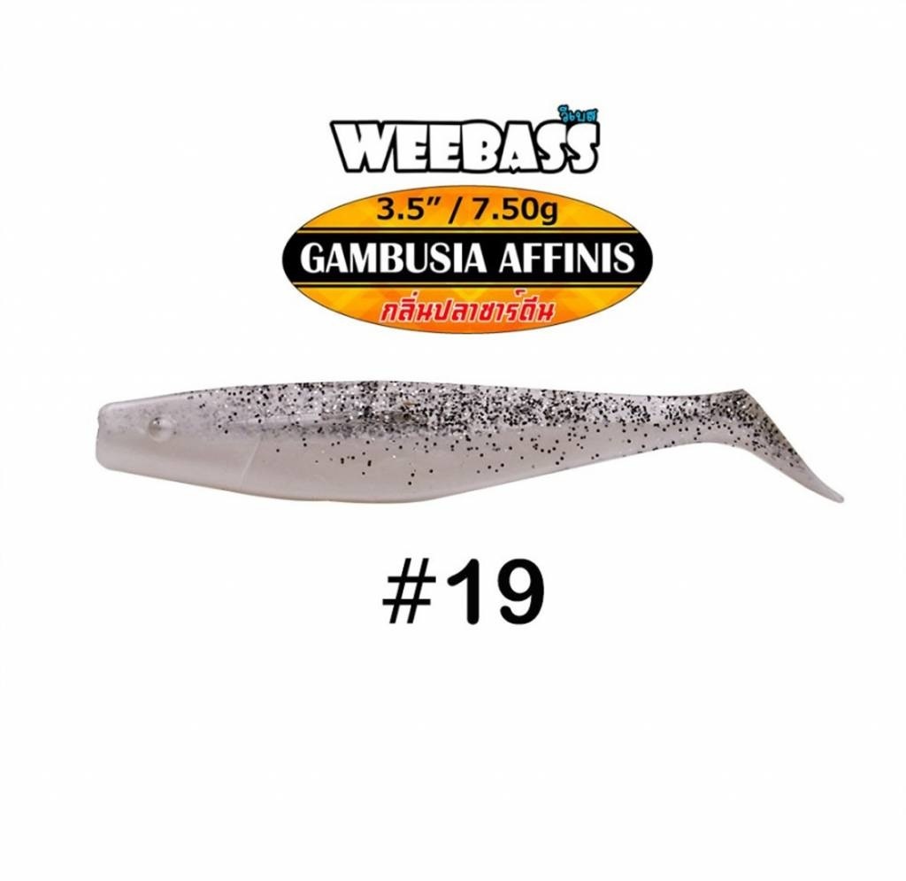 GAMBUSIA AFFINIS 7.5 GRAM 8.9 CM P/4