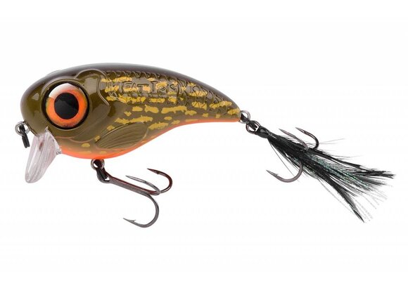 FAT IRIS 6 CM SHINNING PIKEY 17 GRAM