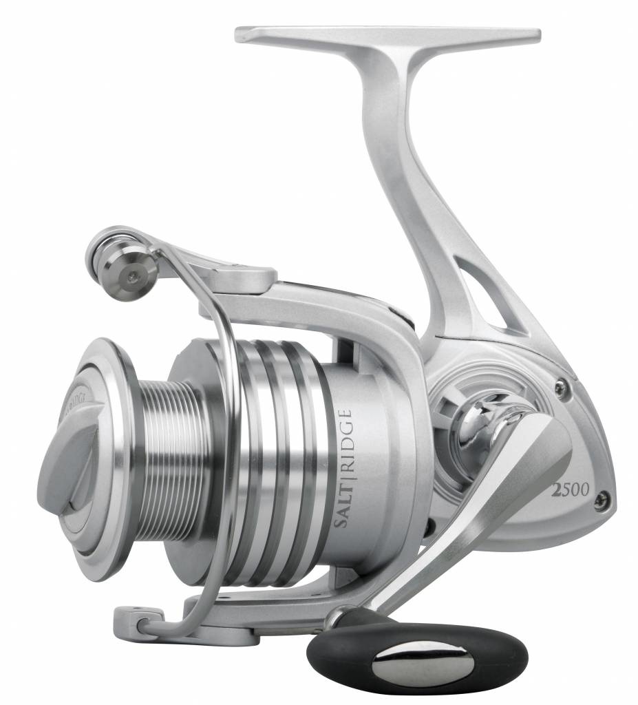 SALT RIDGE REEL
