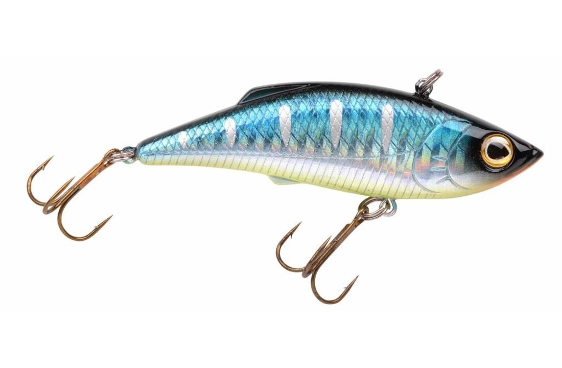 POWERCATCHER BLUE BACK