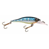 POWERCATCHER BLUE BACK