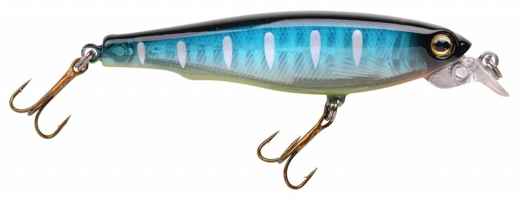 POWERCATCHER BLUE BACK