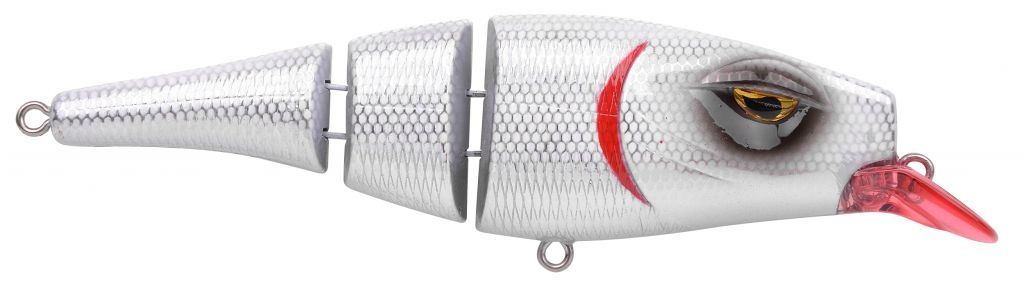 PIKEFIGHTER145MW 3 JOINT RED GILL ALBINO