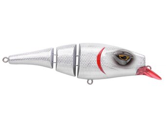 PIKEFIGHTER145MW 3 JOINT RED GILL ALBINO