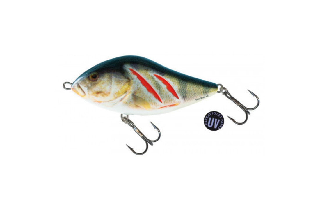 SLIDER SINKING WOUNDED REAL GREY SHINER