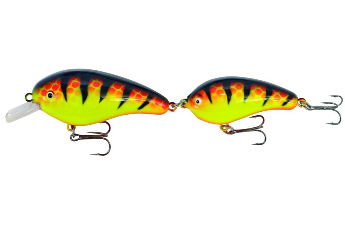 PREDOX FOLLOW JOE ORANGE TIGER