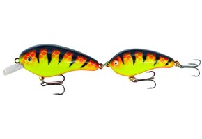 PREDOX FOLLOW JOE ORANGE TIGER