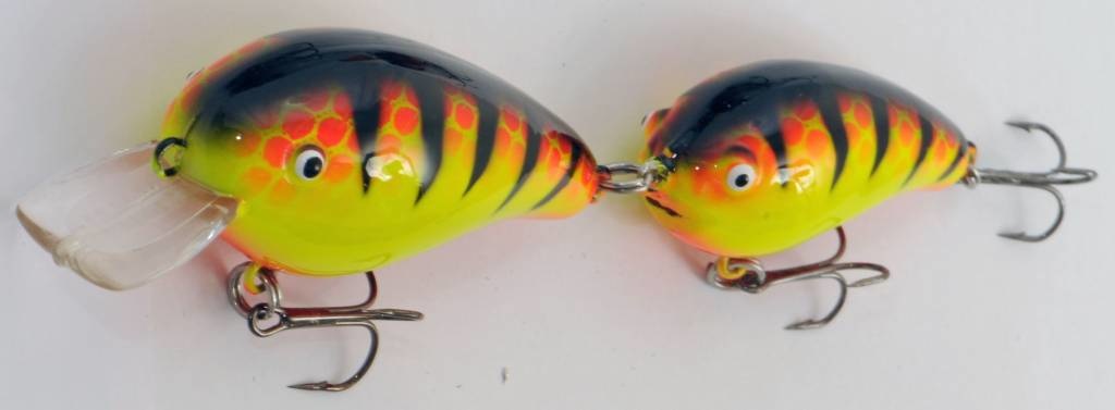 PREDOX FOLLOW JOE ORANGE TIGER