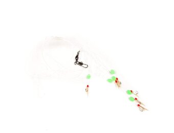 HARINGONDERLIJN 6 HKS #2