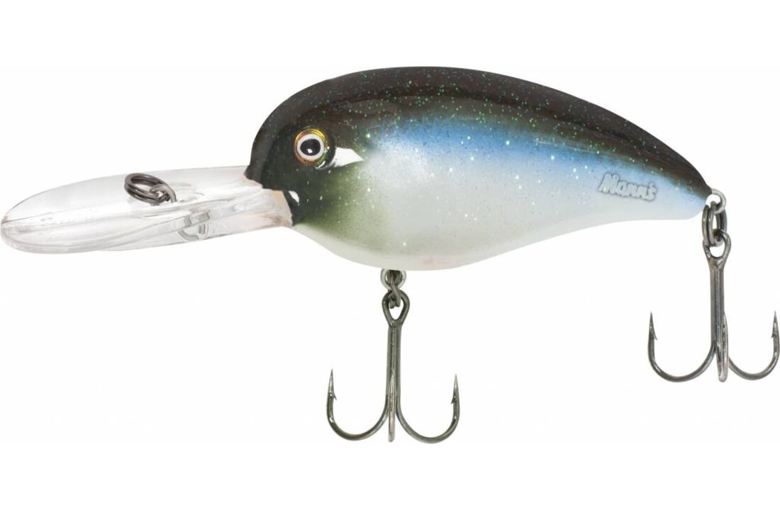 LOUDMOUTH BLUE BAITFISH
