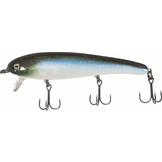 1-MINUS BLUE BAITFISH