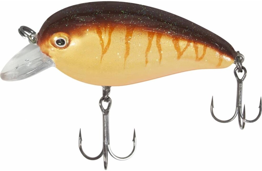 LOUDMOUTH BROWN TIGER