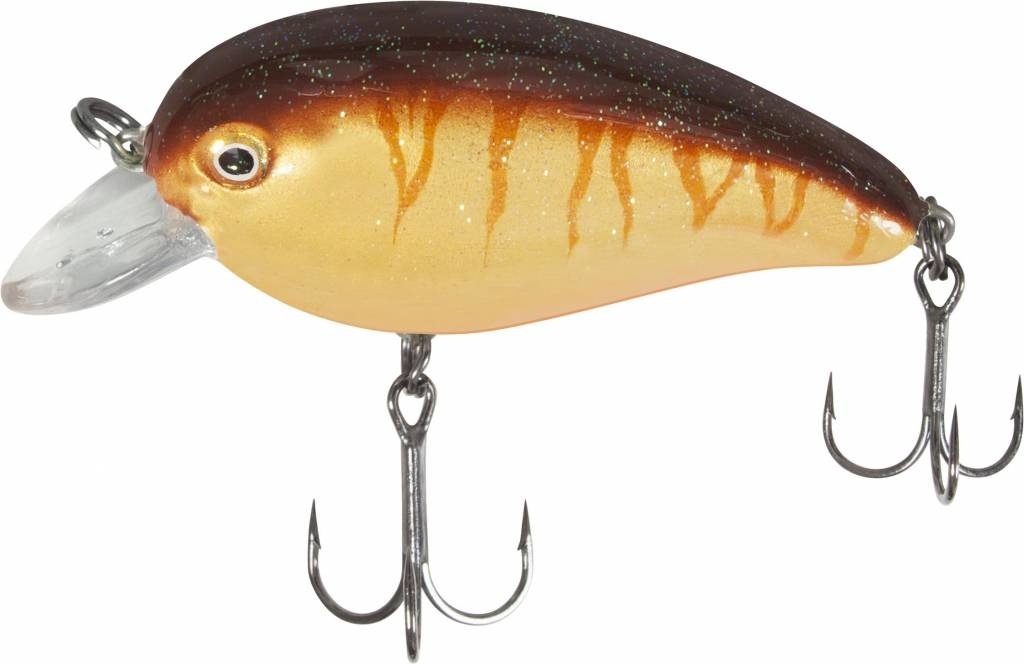 LOUDMOUTH BROWN TIGER