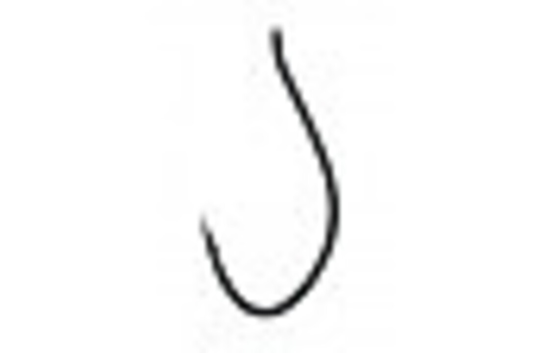 FREESTYLE DSG HOOK #6 P/10