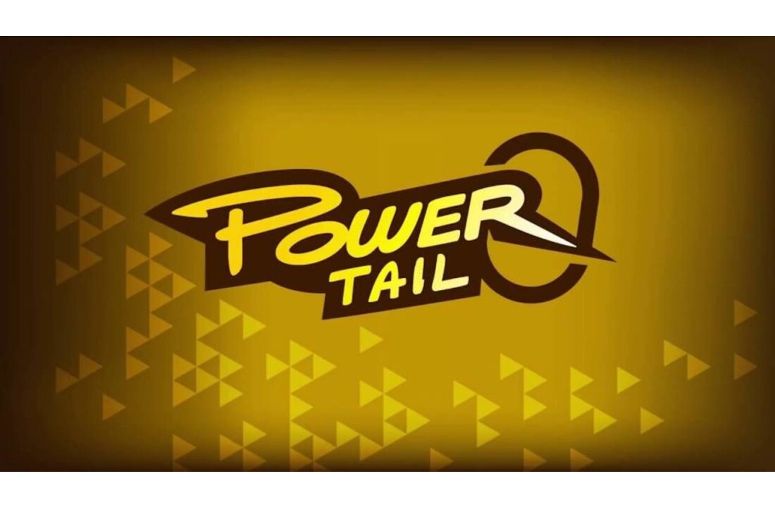 POWERTAIL 38MM X-FAST 10 GRAM SILVER SARDINE