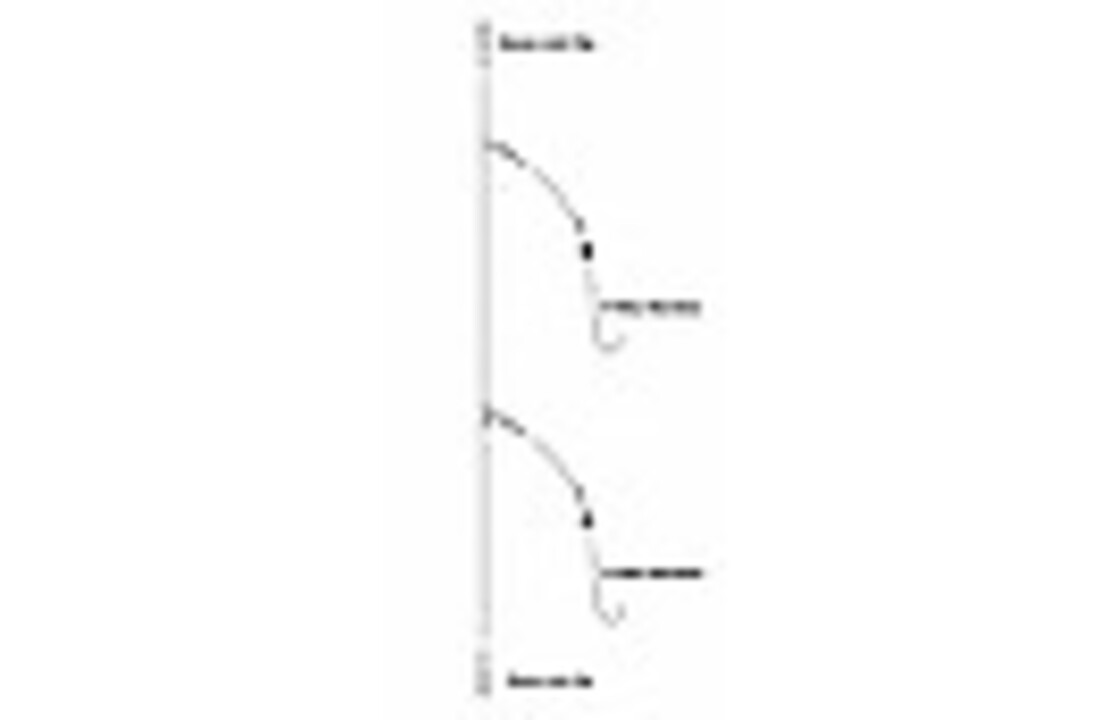 GEMINI TWO HOOK CLIP DOWN READY RIG