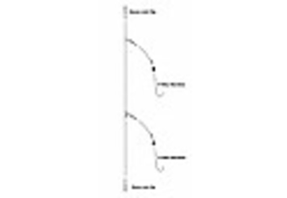 GEMINI TWO HOOK CLIP DOWN READY RIG