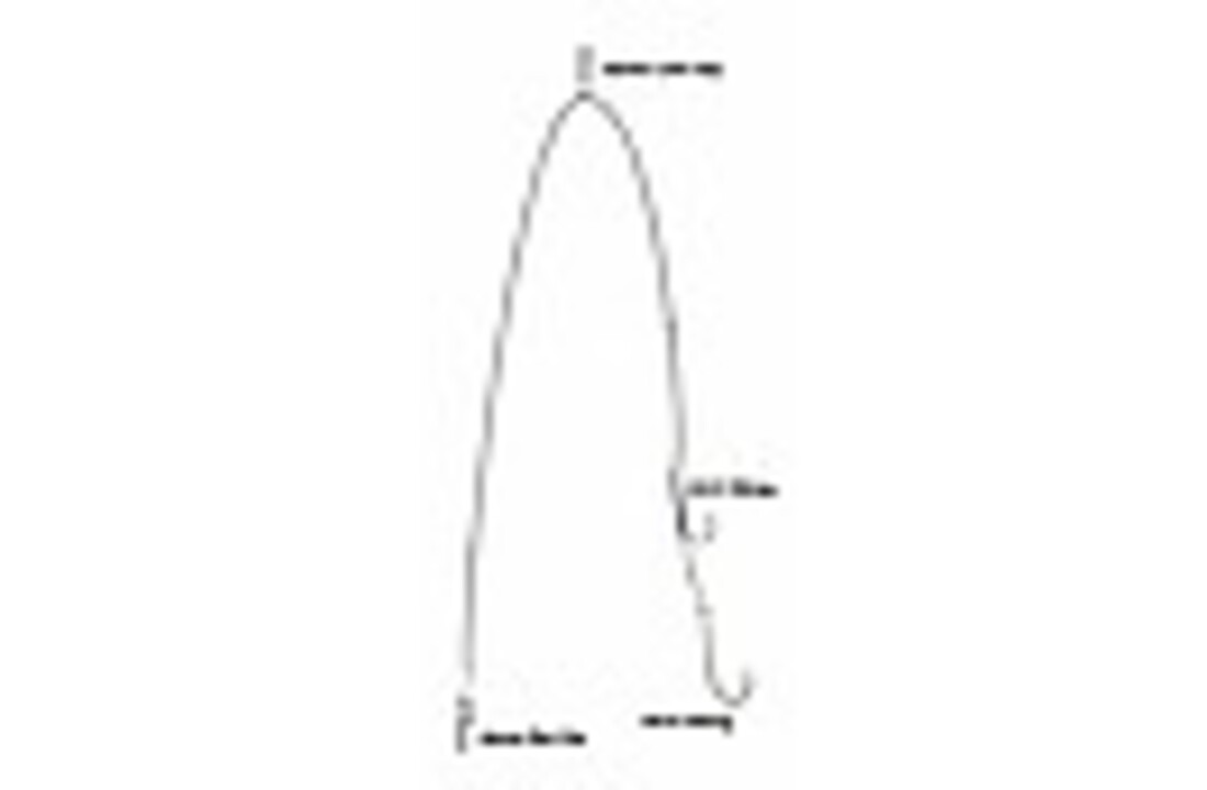 GEMINI CLIP DOWN PULLEY PENNEL READY RIG