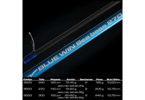 BLUE WIN SEA BASS 300 M 20-80 GRAM