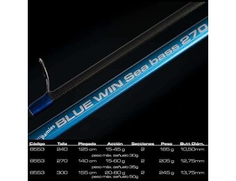 BLUE WIN SEA BASS 300 M 20-80 GRAM