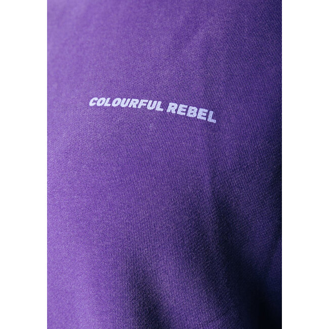 COLOURFUL REBEL Concert Acid Wash Clean Hoodie Liberty Purple