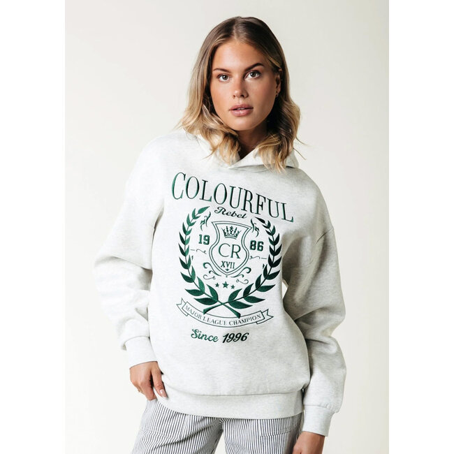 COLOURFUL REBEL College Embro Clean Hoodie