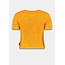 HARPER & YVE Dolphin Fruity Orange Shirt