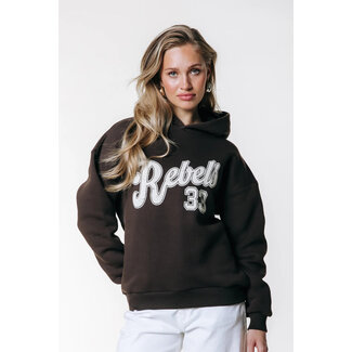COLOURFUL REBEL Rebel Clean Hoodie Brown