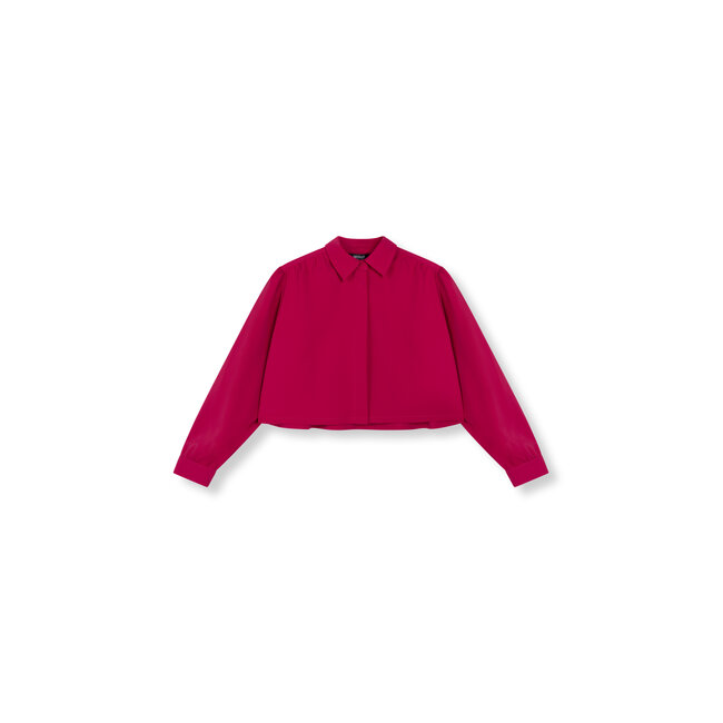 REFINED DEPARTMENT Cropped Blouse Myra Raspberry