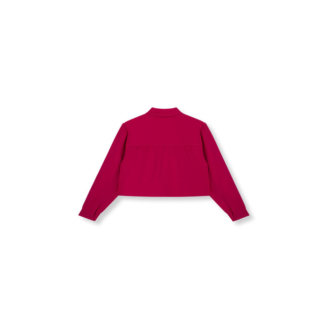 REFINED DEPARTMENT Cropped Blouse Myra Raspberry