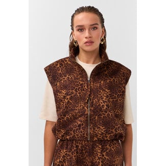 STUDIO AMAYA Axel Gilet Brown