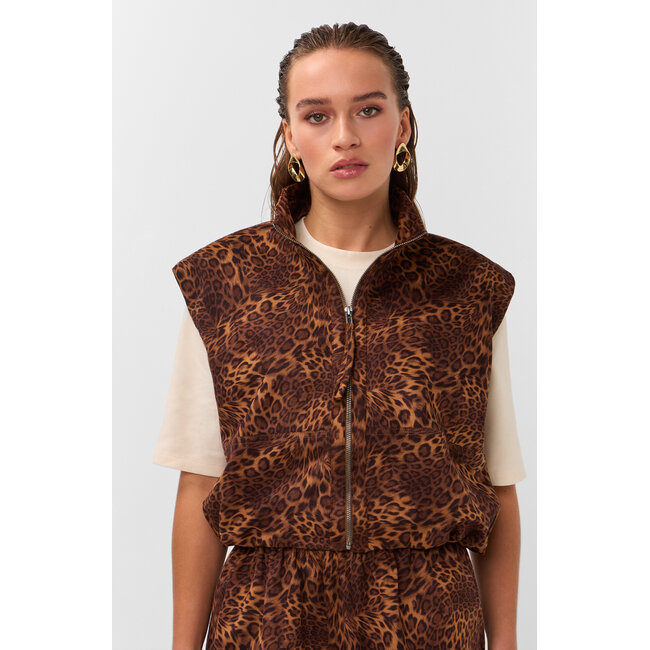STUDIO AMAYA Sable Short Brown