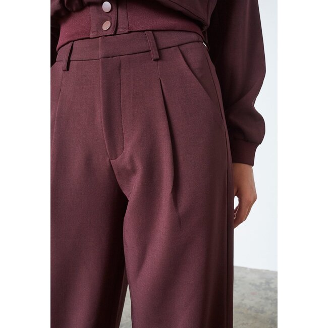 SISTERS POINT Great Pantalon Deep Bordeaux