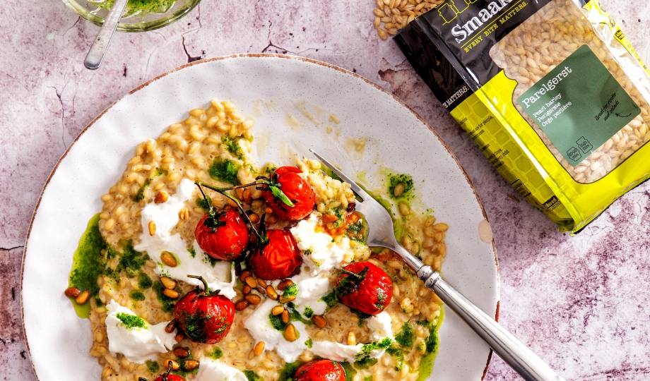 Parelgerstrisotto met tomaat en burrata