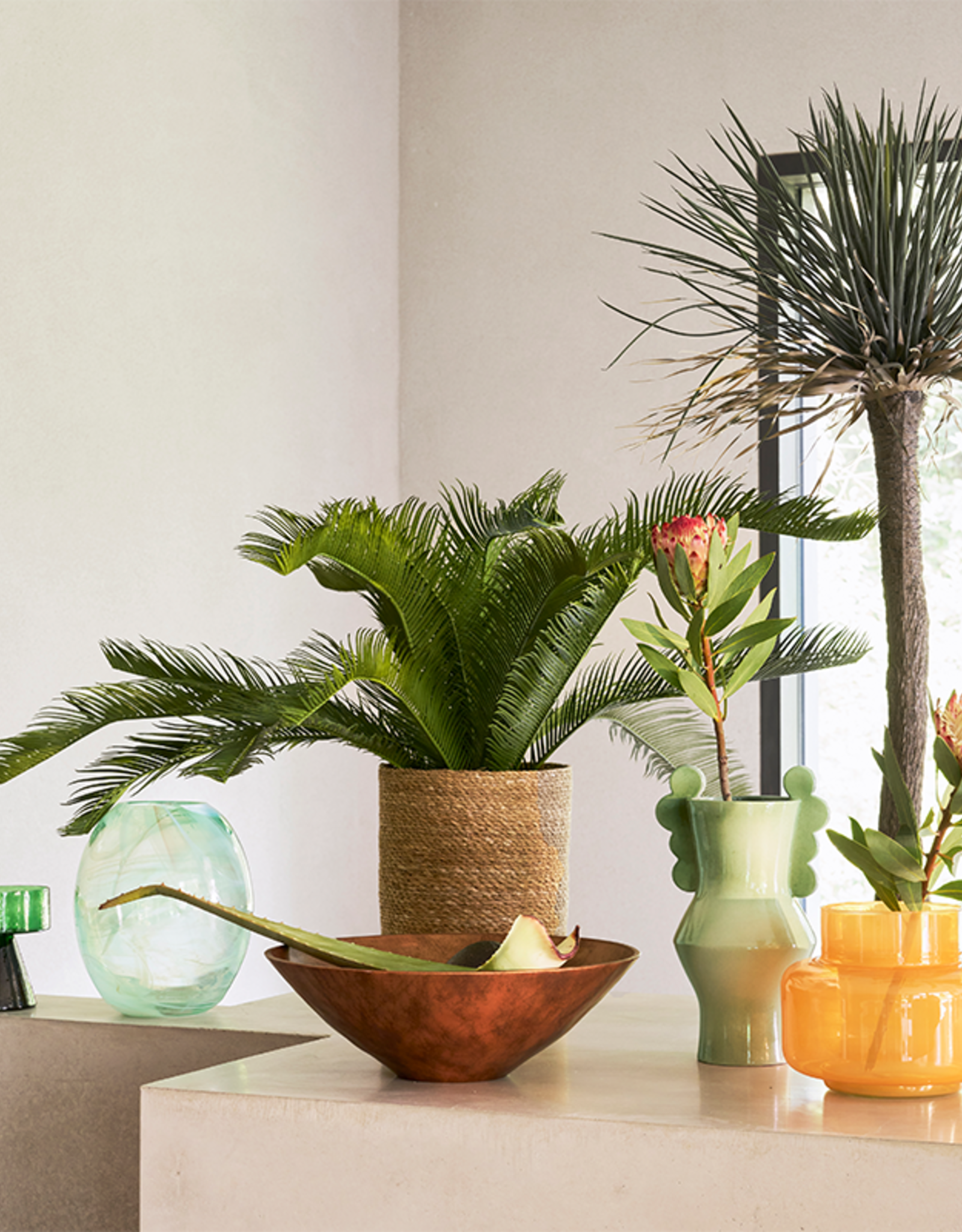 Urban Nature Culture Urban Nature Culture decorative bowl Escala